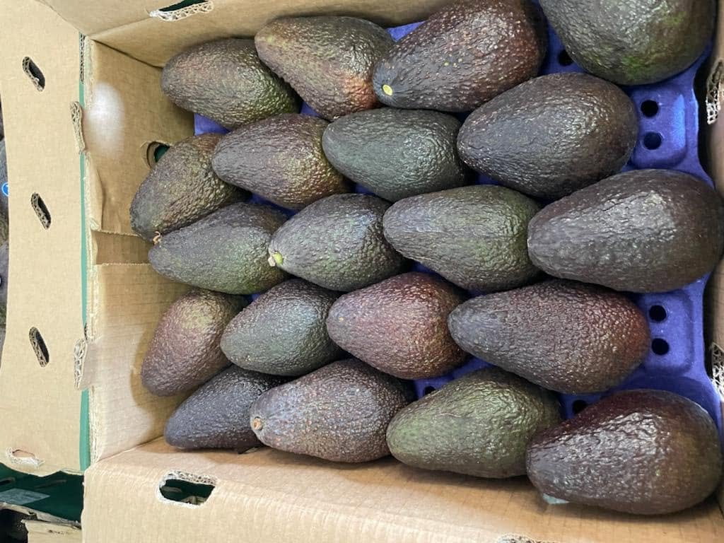 Hass Avocados