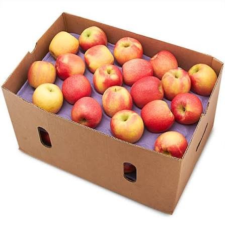 Gala Apples