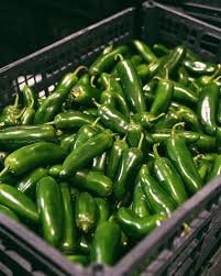 Jalapeno Peppers
