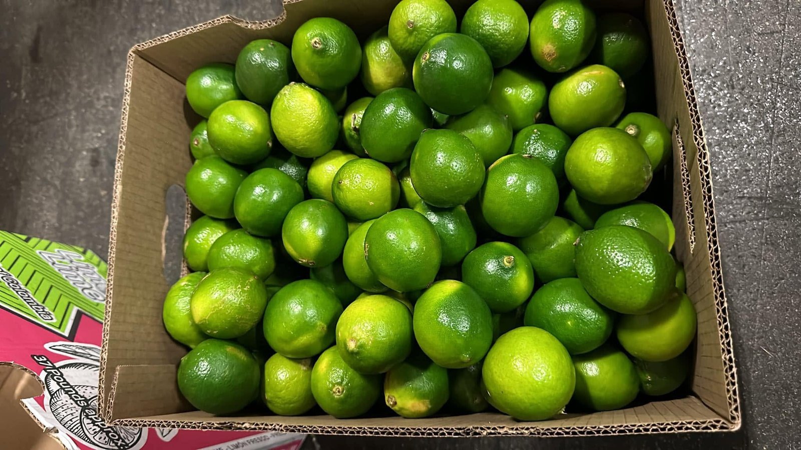 Limes