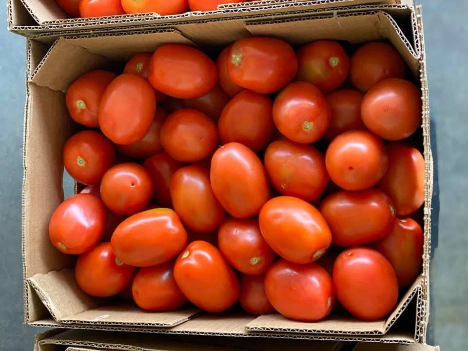 Roma Tomatoes